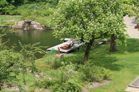 Bild aus dem Camp Melua - Alternatives Naturnahes Camping in Lerbach